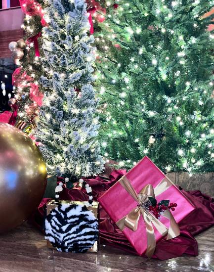 product IMG_5923.jpeg